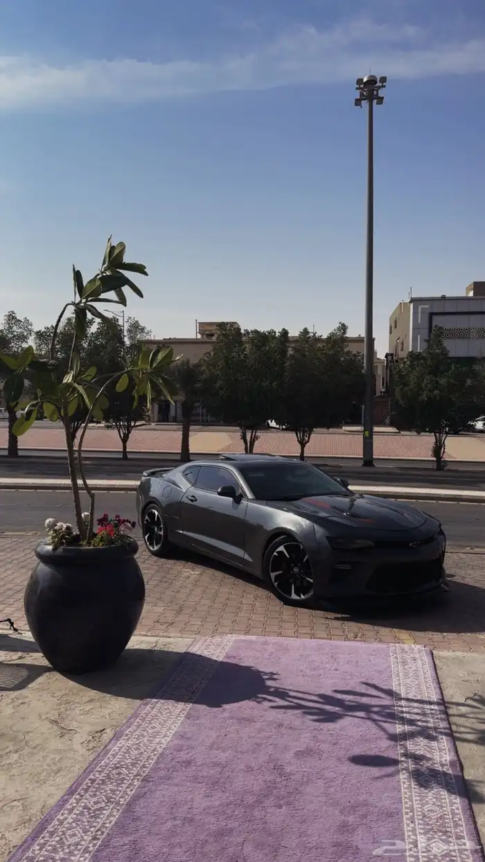 كمارو SS2 2017 فيفتي ( نسخة الخمسين عام ) 5