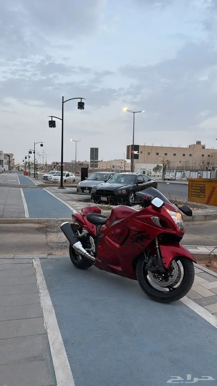 هايبوزا عنابي 0