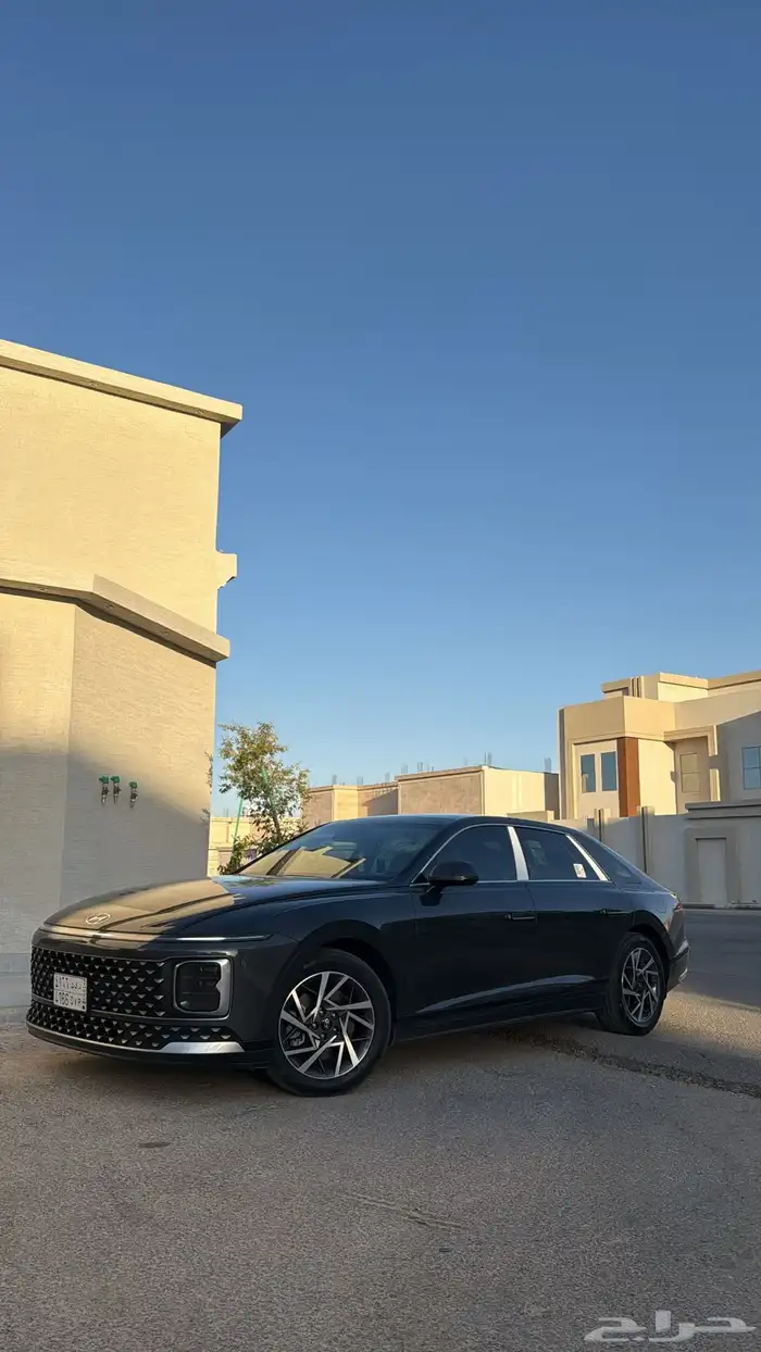 ازيرا 2025 للتقبيل بدون مقابل 13