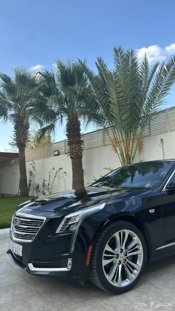 كاديلاك CT6 بلاتينيوم 5