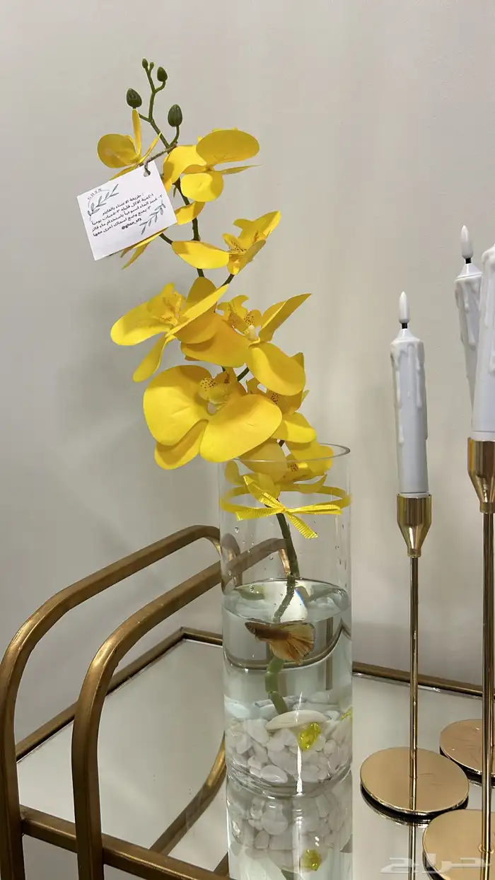 هدايا سمك ونباتات 5