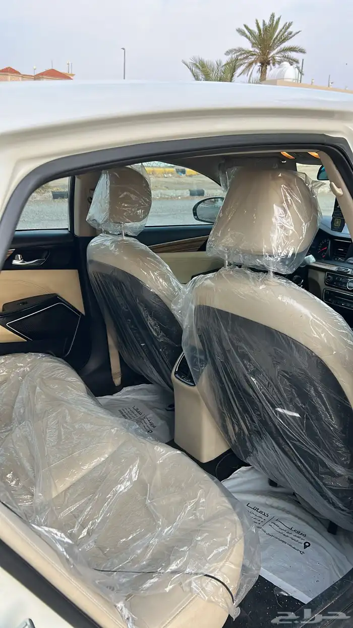 كادينزا 2017 12