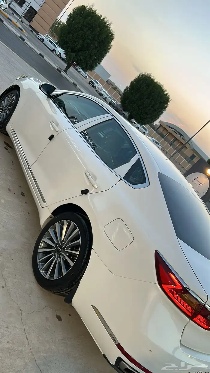 كادينزا 2017 5