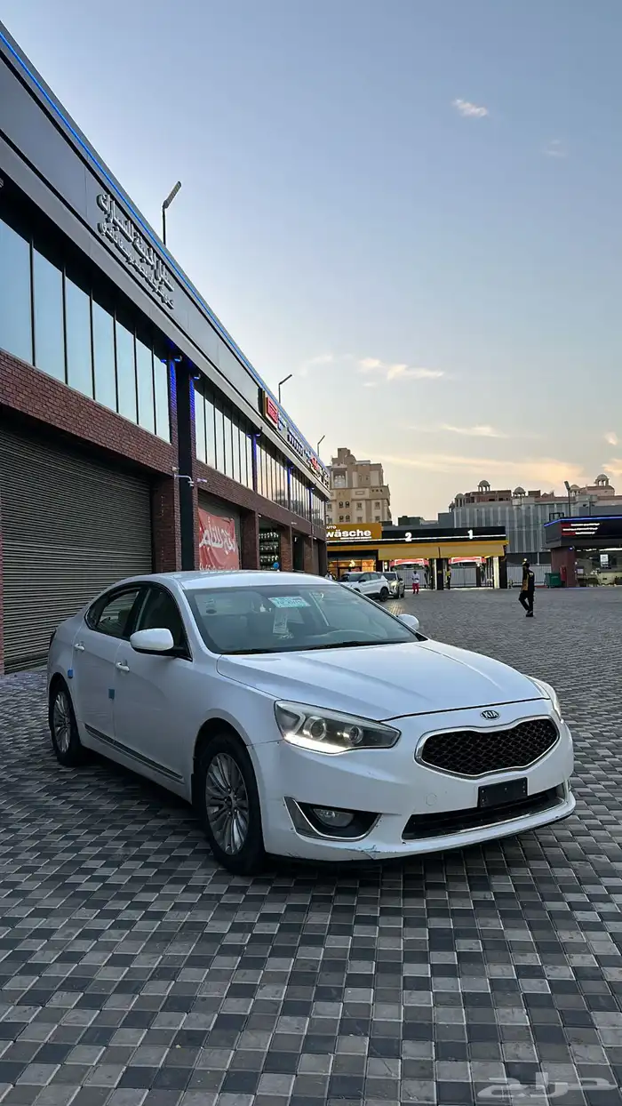 مطلوب كادينزا 14 15 16 0