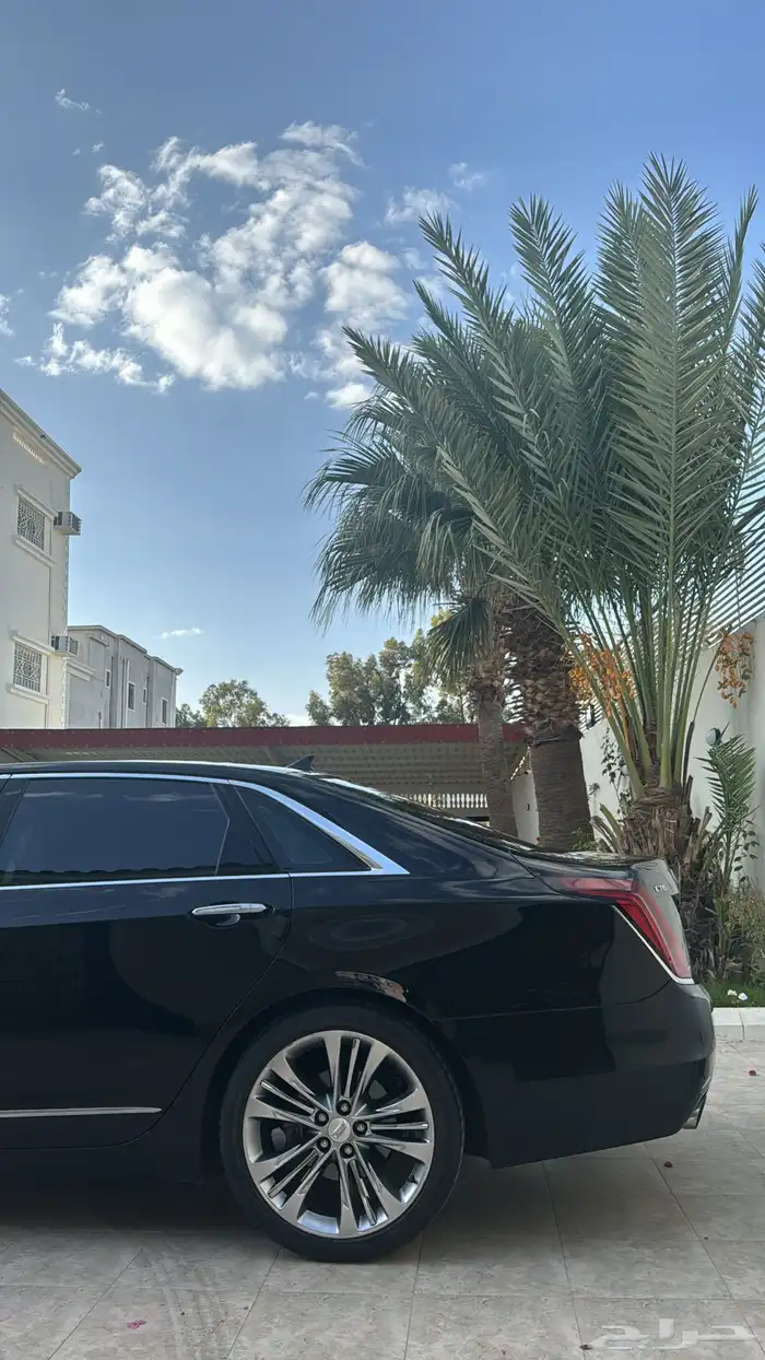 كاديلاك CT6 بلاتينيوم 6