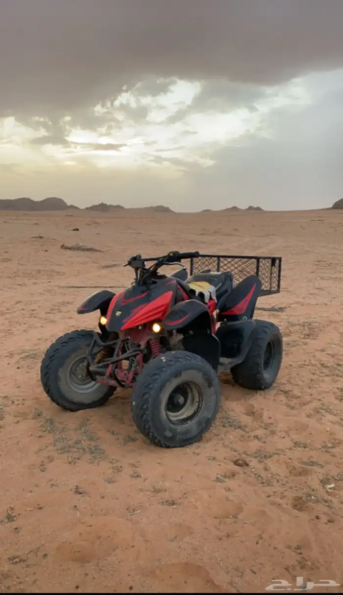 دباب تيواني وسيط 6