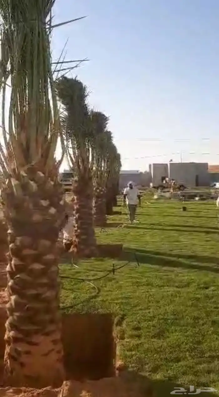 الموقع العولقه 5