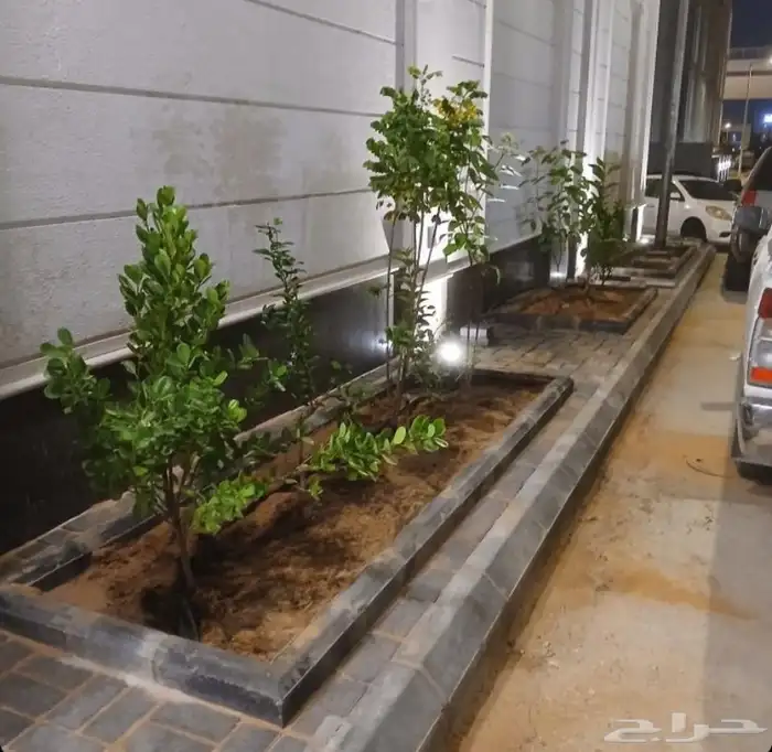 مشتل الزرع الطبيعي جميع انواع الزرع الطبيعي 1