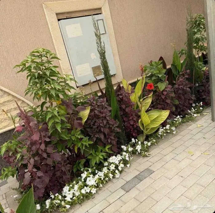 تنسيق حدايق واحواش فلل 0