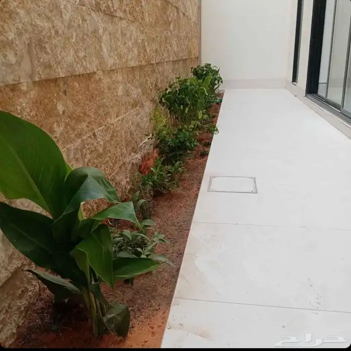 مشتل الزرع الطبيعي جميع انواع الزرع الطبيعي 5