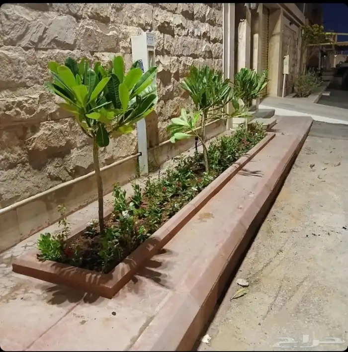 مشتل الزرع الطبيعي جميع انواع الزرع الطبيعي 2