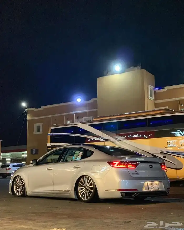 اسطبات كادينزا نظيف وكاله 0