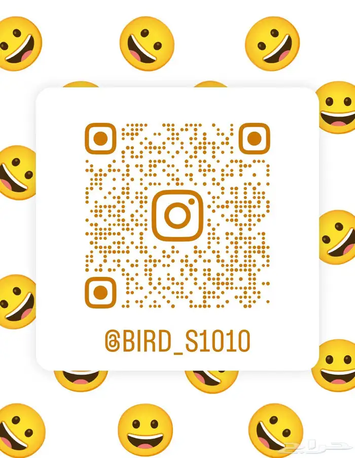 فندقة طيور أرانب بأسعار تناسب الجميع 7