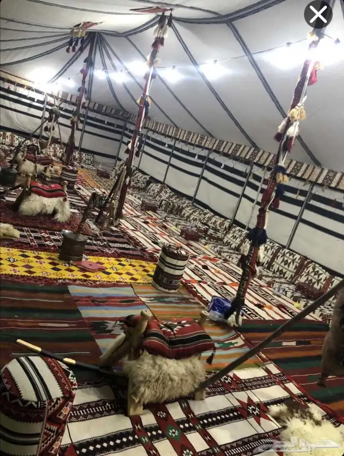 تاجير سواتر وجلسات شعبي 6