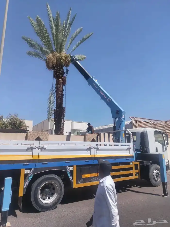 كرين ونش للايجار اليومي وشهري الموقع تبوك وخارج تبوك ضبا شرم 3