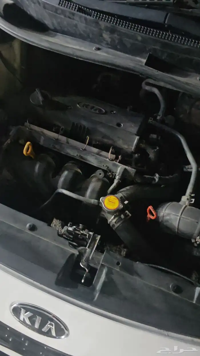 كيا ريو 2016 5