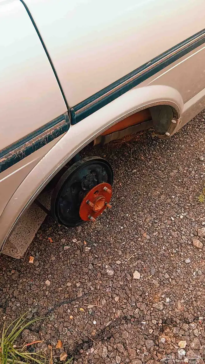 نياكل كرسيدا 90 3