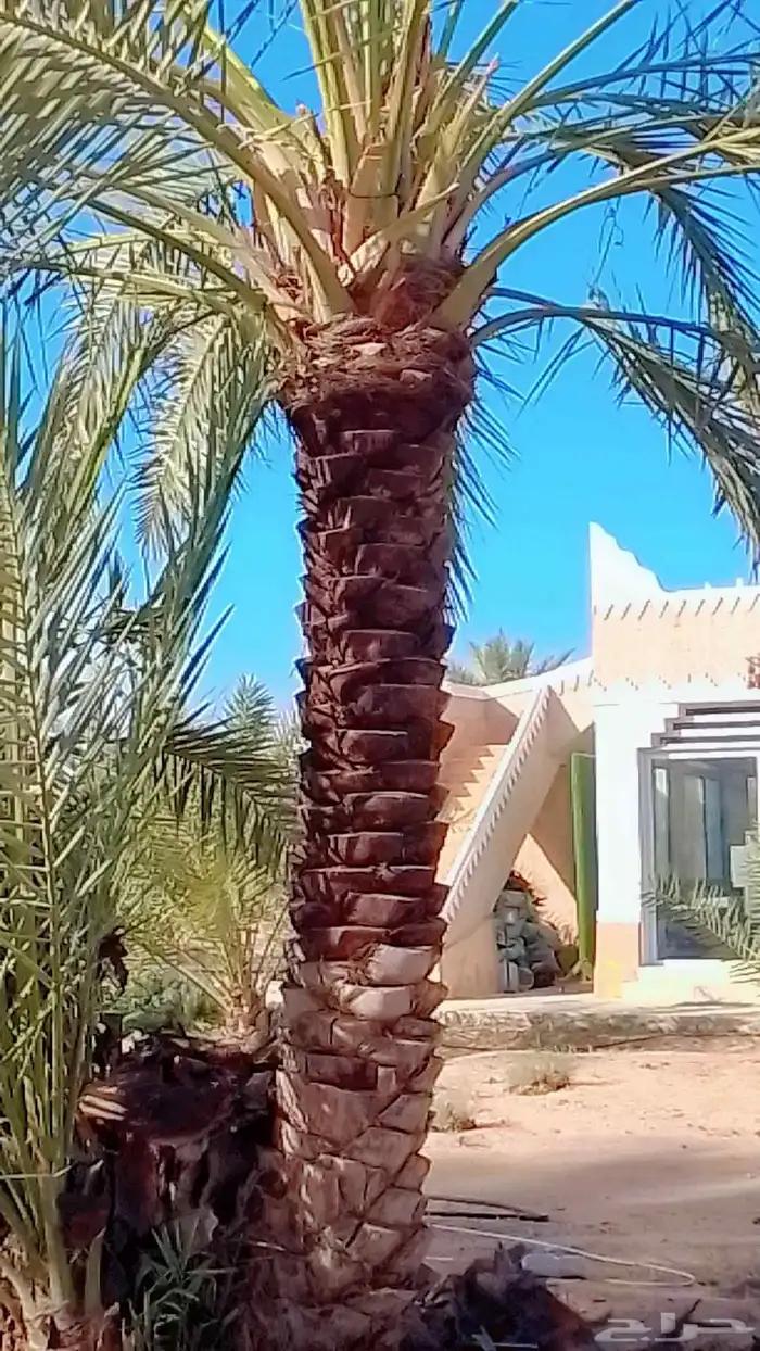 مقاولات عامه 8