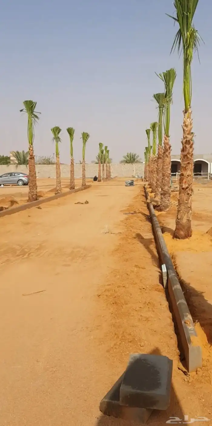 الموقع العولقه 4