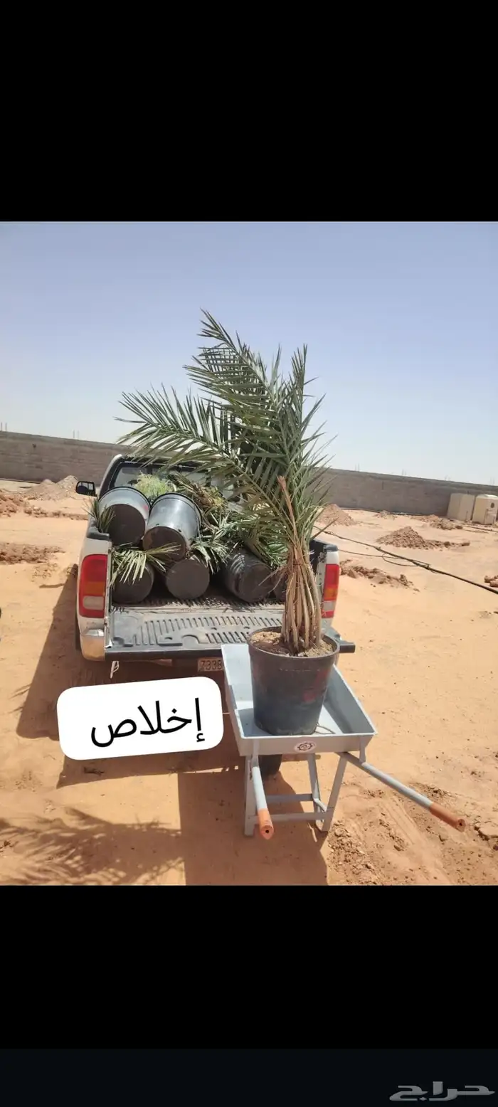 الموقع العولقه 0