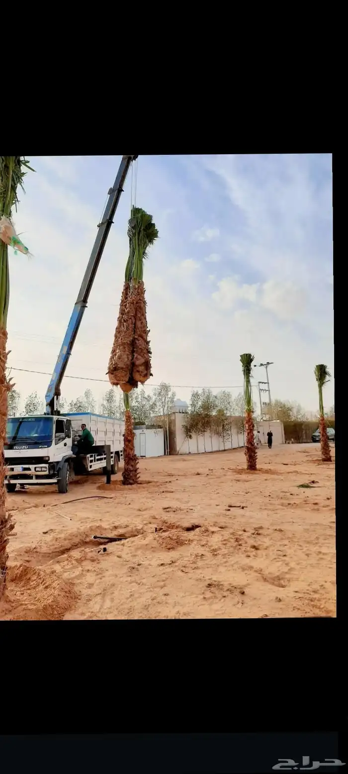 الموقع العولقه 6