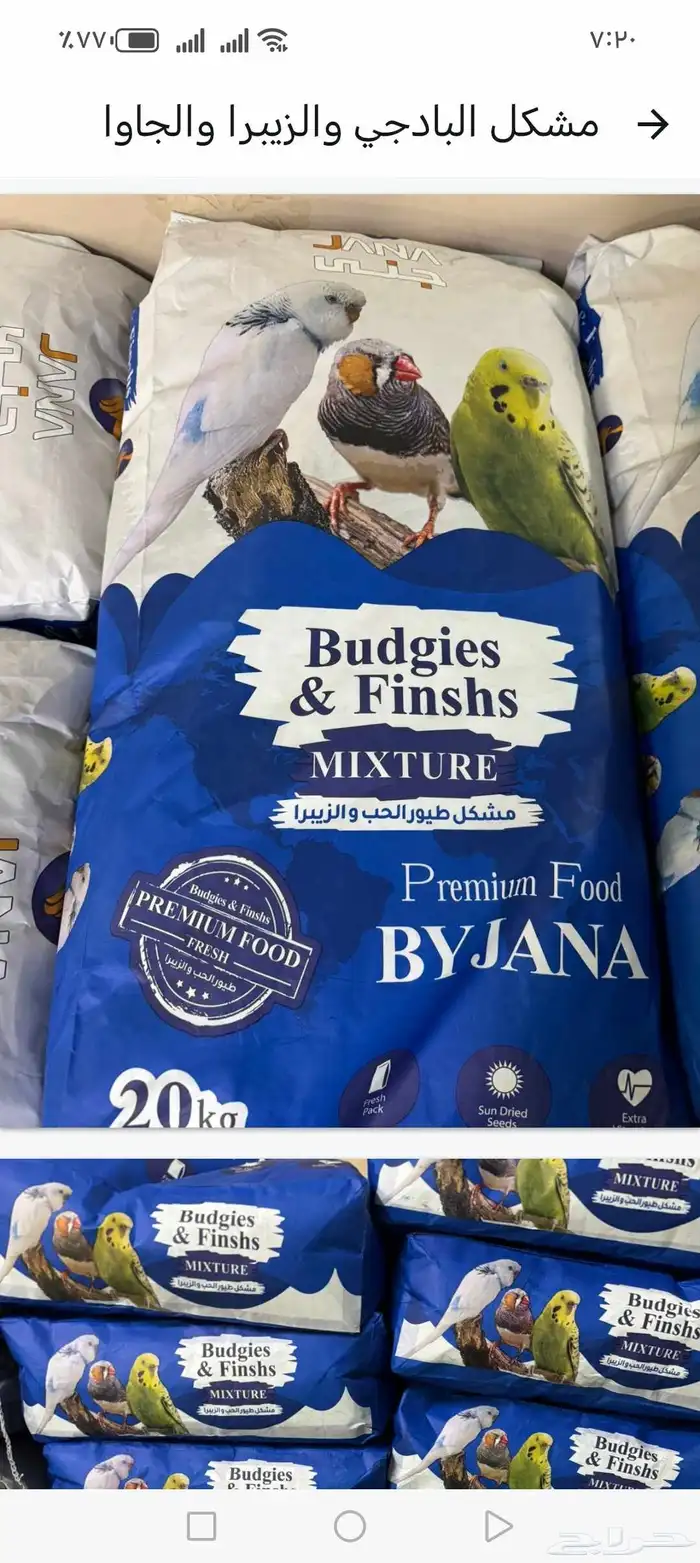 اكل قطط رمل قطط اكسسوارات 3