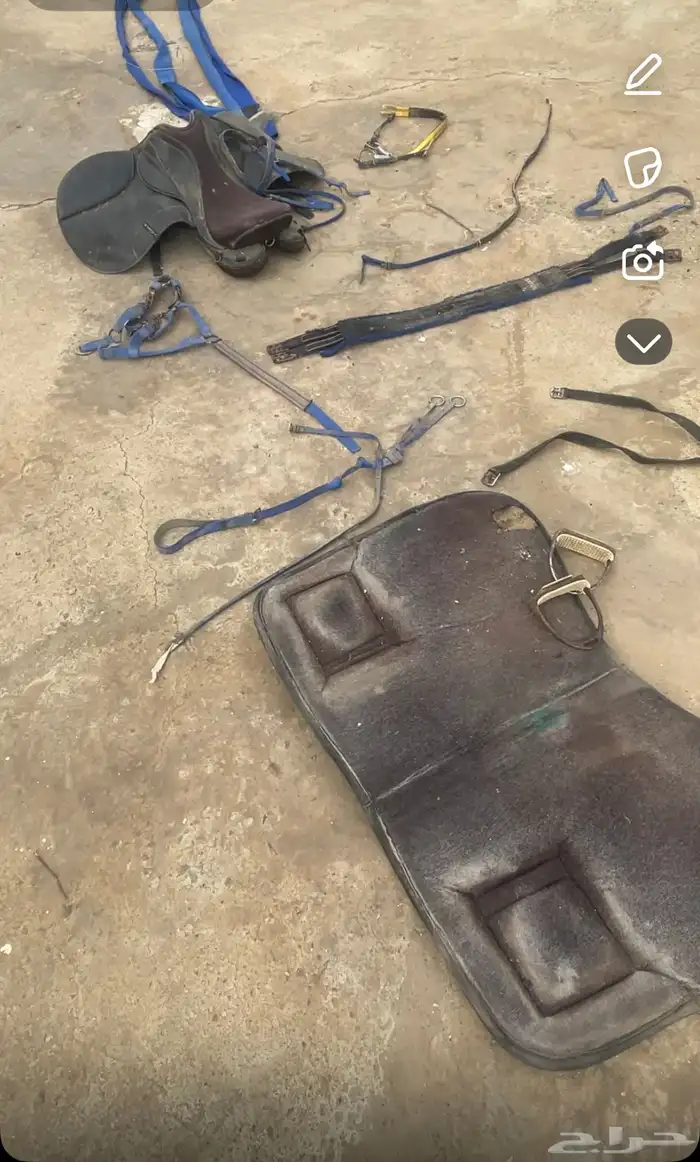 طقم سرج أزرق للبيع 0