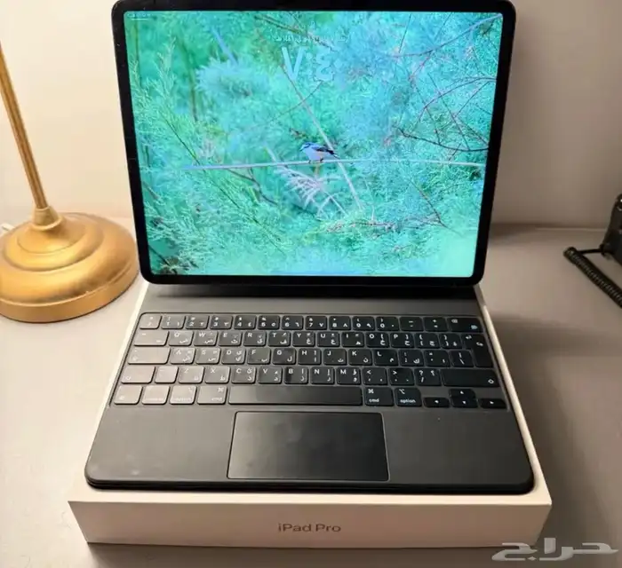 للبيع ايباد برو الجيل السادس مع ابل ماجيك كيبورد 6
