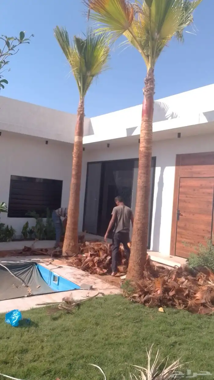 مقاولات عامه 9