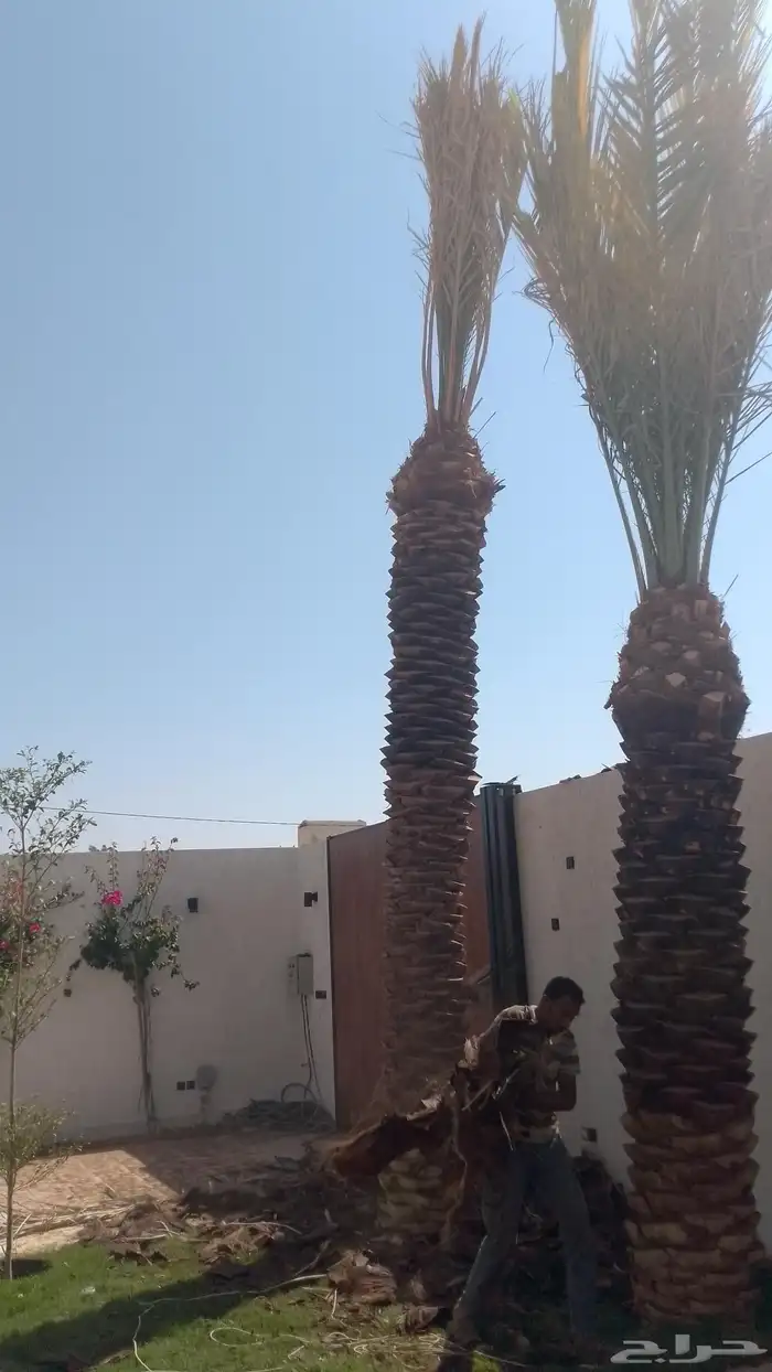 مقاولات عامه 13