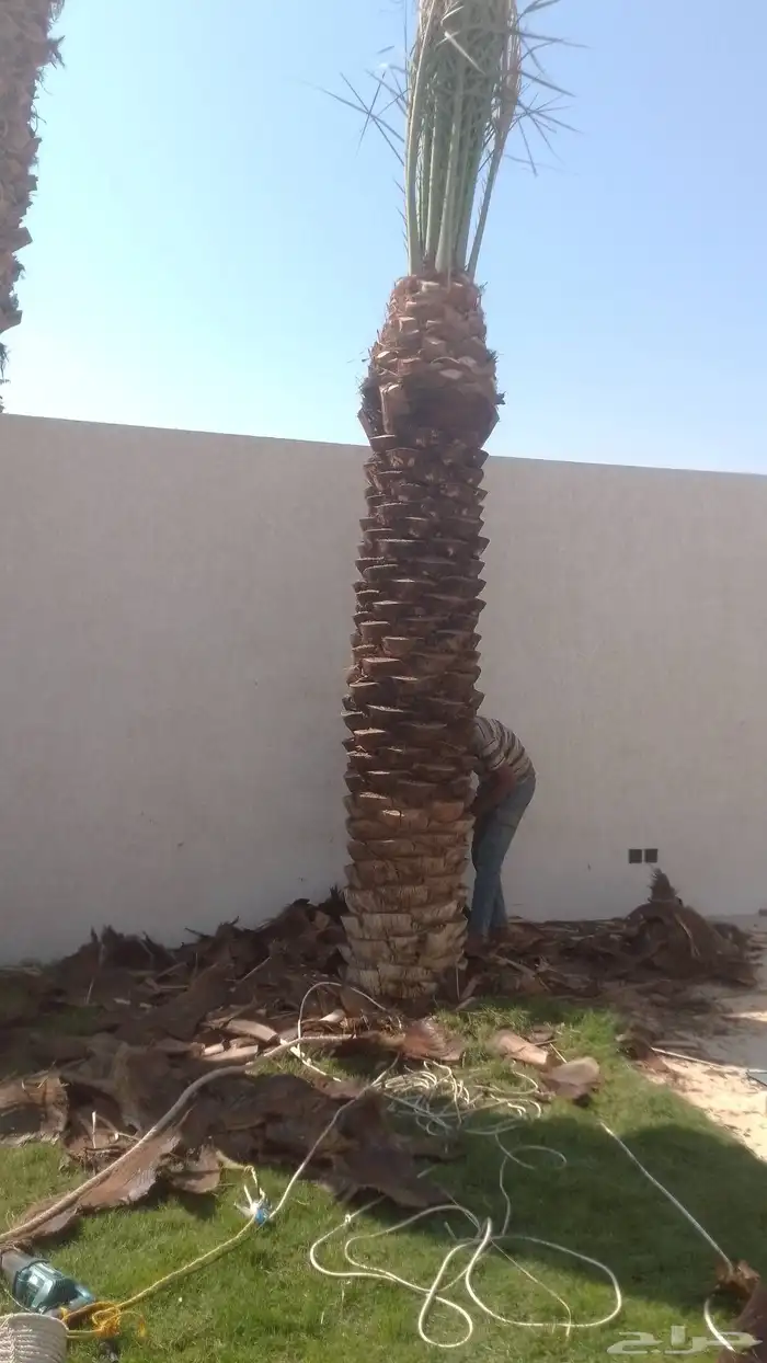 مقاولات عامه 7