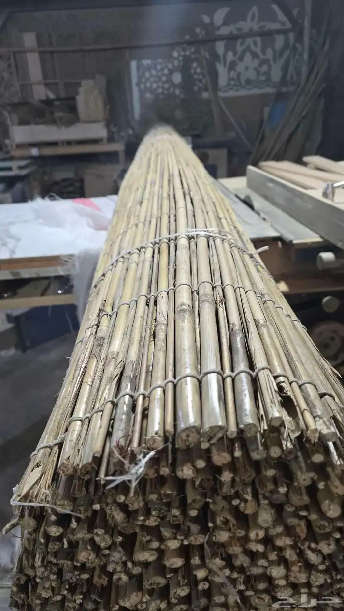 خيزران الباكستاني 7