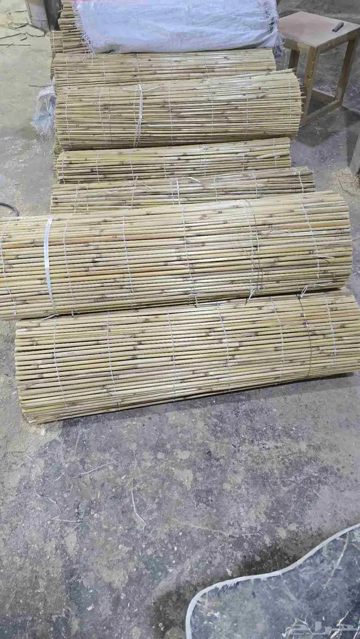 خيزران الباكستاني 1