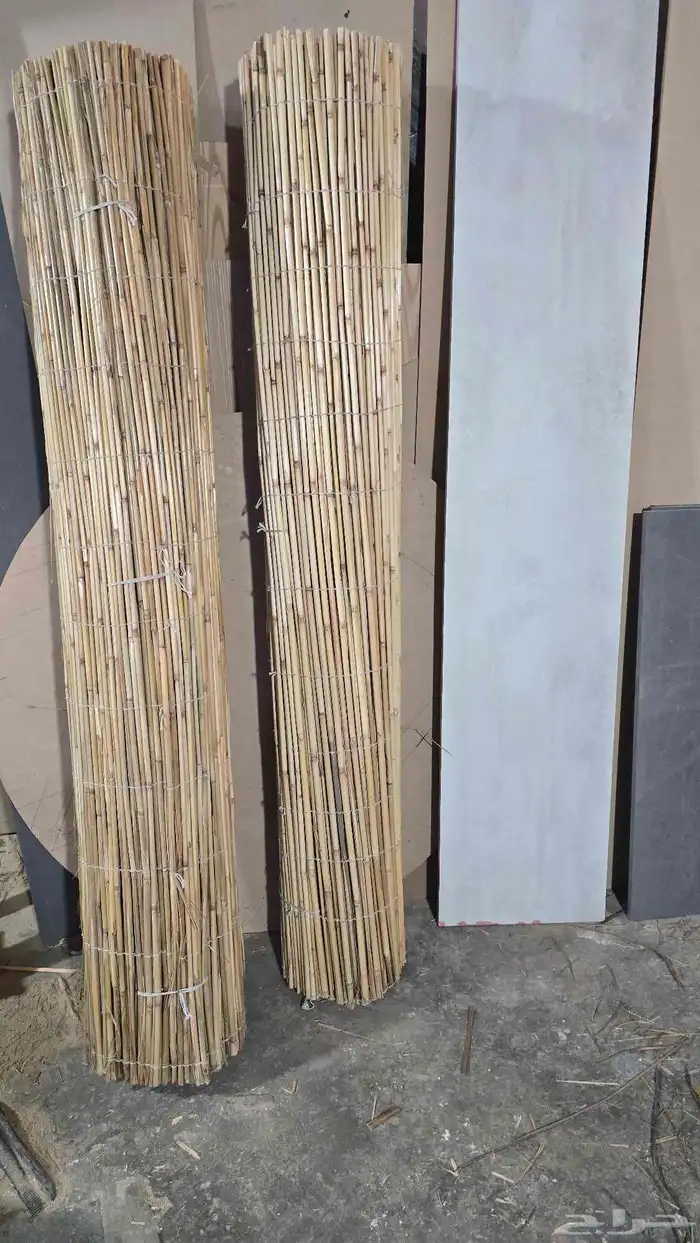 خيزران الباكستاني 8