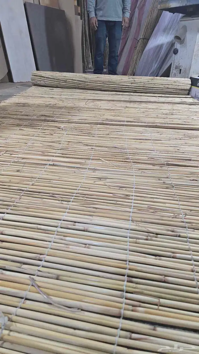 خيزران الباكستاني 9