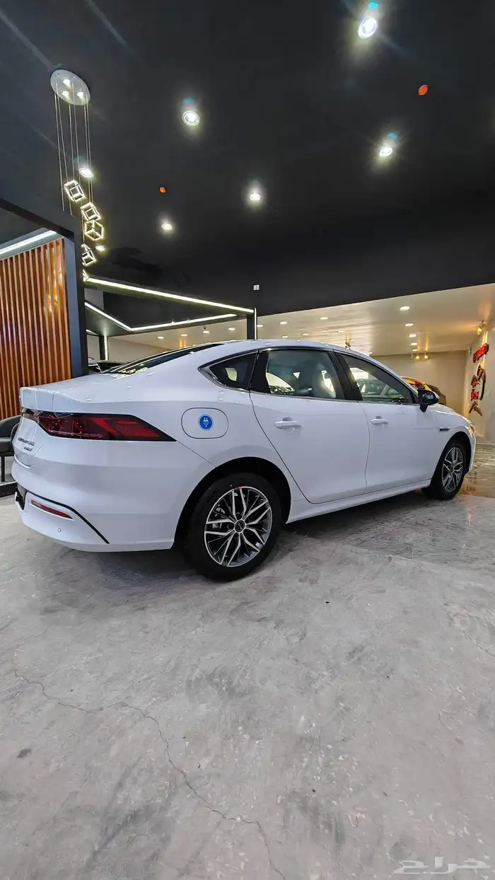 BYD شن بلس 2025 بريميوم 1100 كلم 1