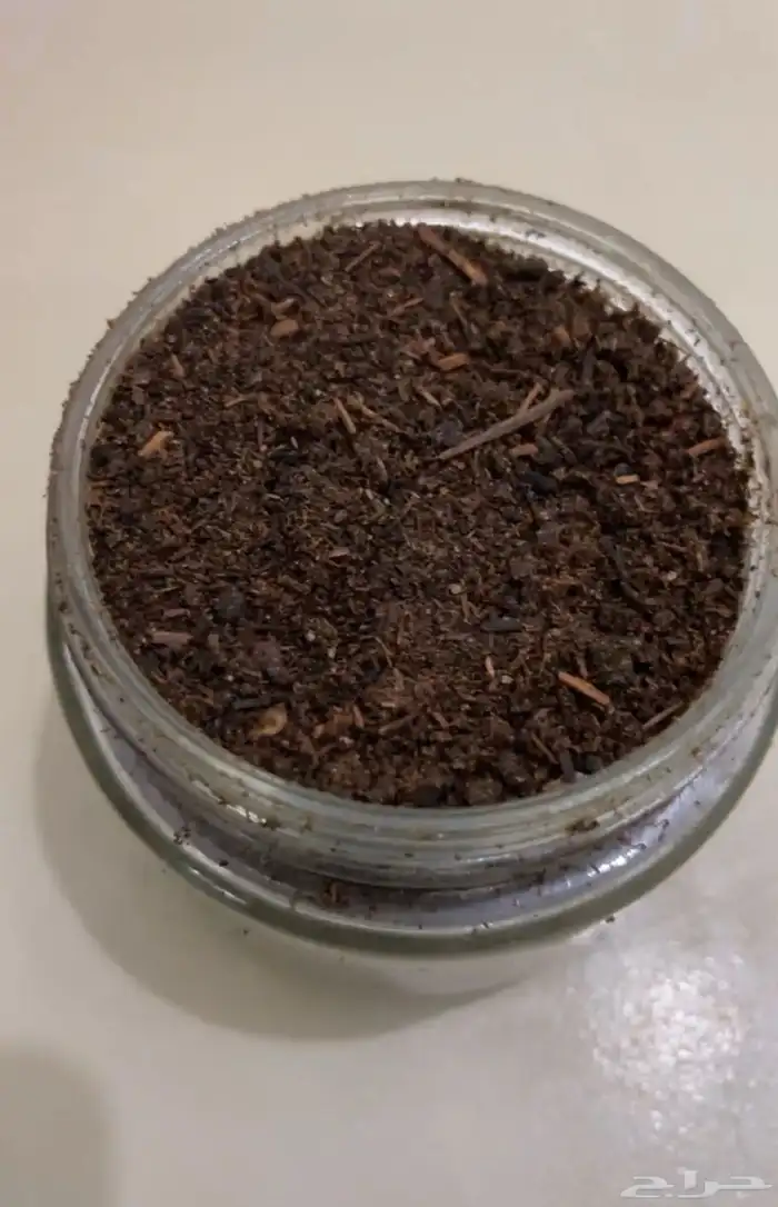 بخور مبثوث وبخور بيشه 1