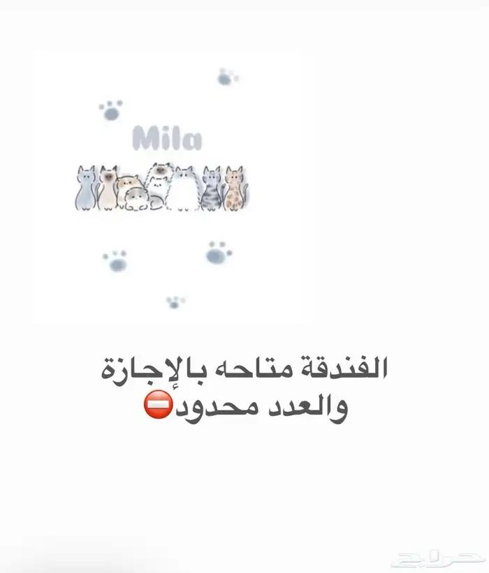 فندقة قطط( الفندقه متاحه للاجازه والعدد محدود) 1