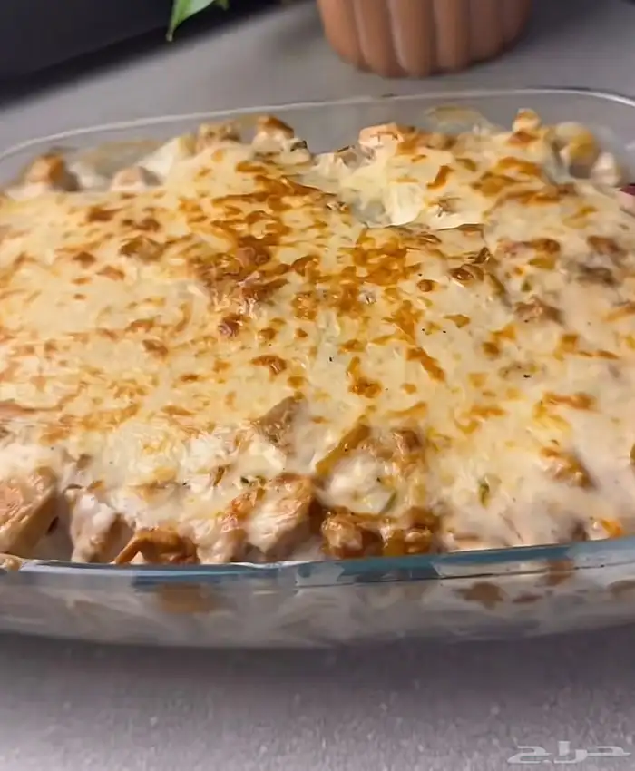 صينية دجاج بالخضار -مصقع 1