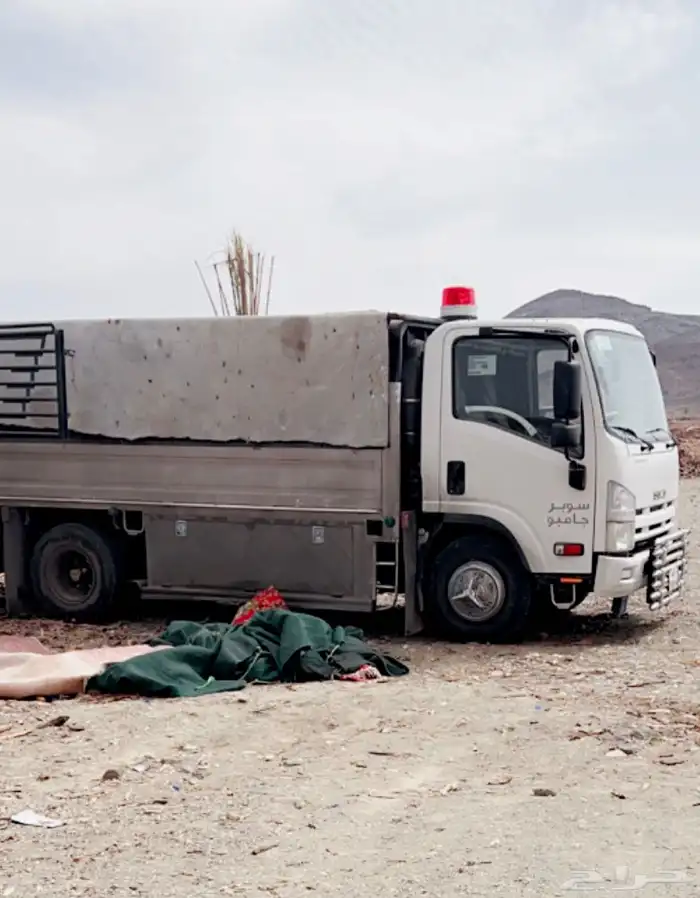 دينه شرط 2014 2