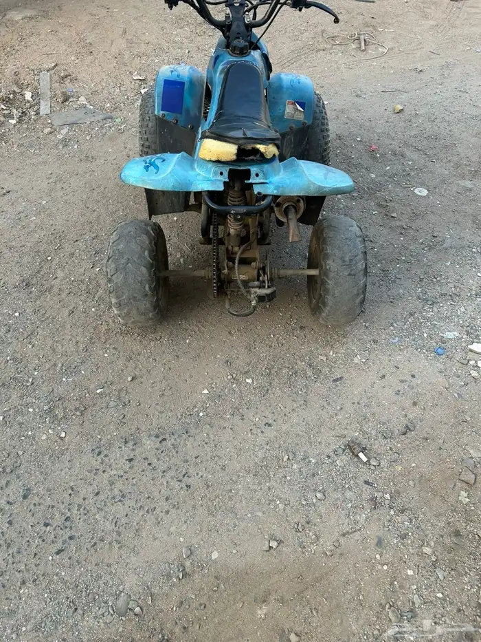 دباب للبيع 0