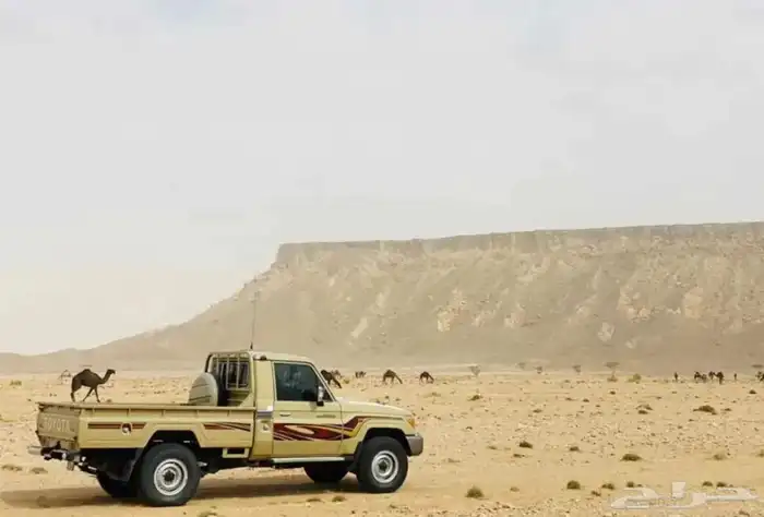 مطلوب شاص مسقط 0