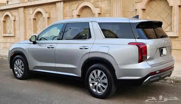 باليسيد 2024 2