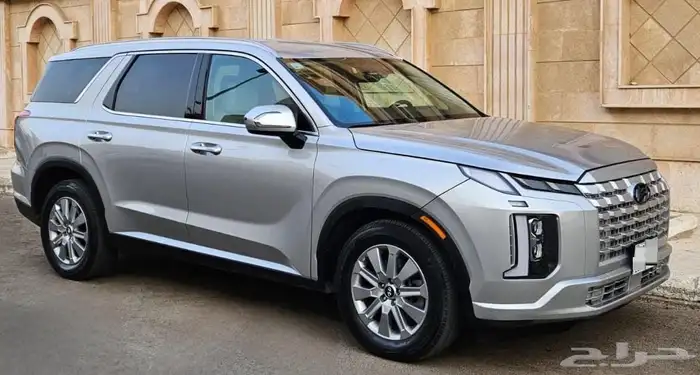 باليسيد 2024 5