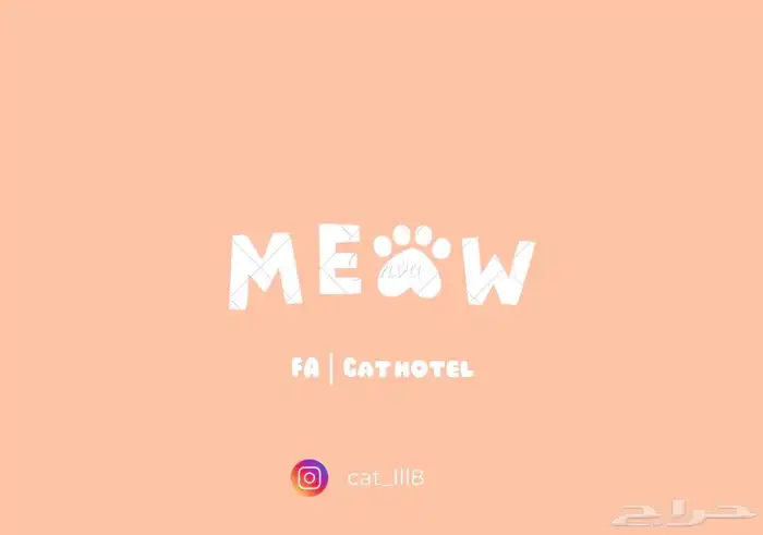 فندقة قطط   محايل عسير   بارق   المجاردة وضواحيها 0