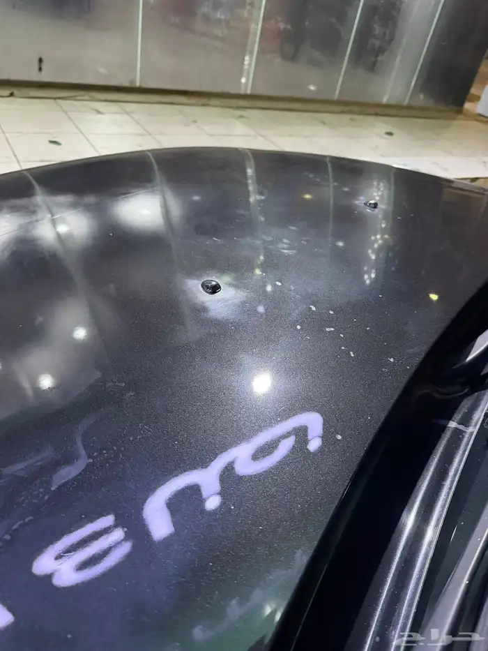 رينو داستر 2017 12