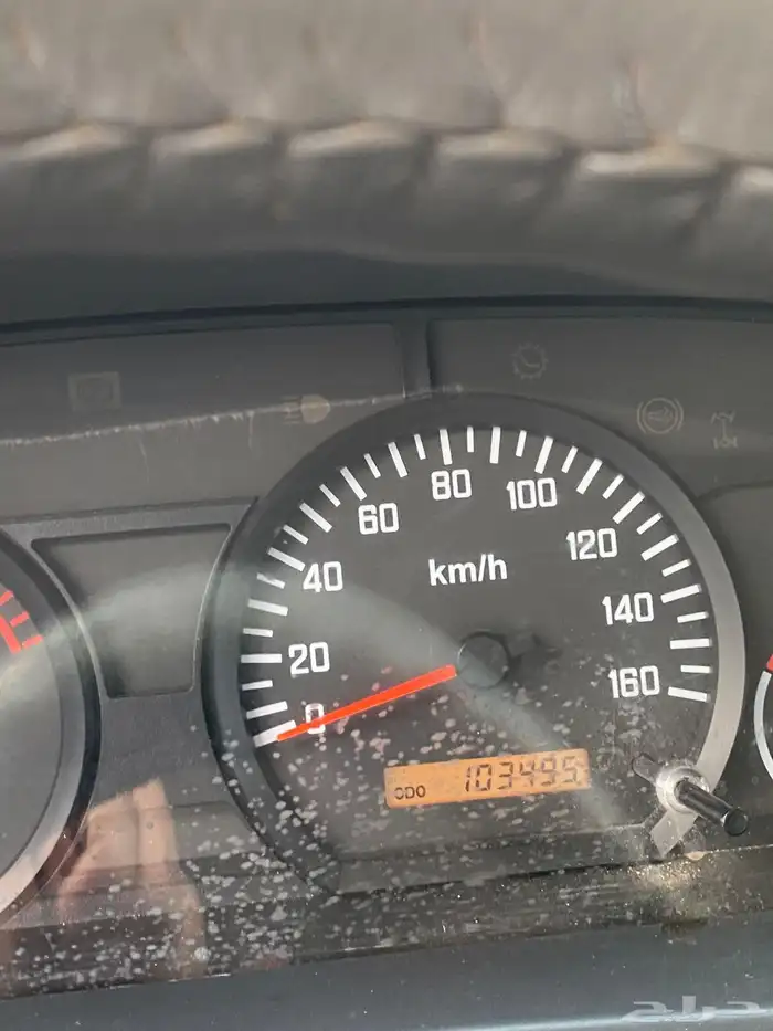 دينه ايسوزو مديل 2013 4