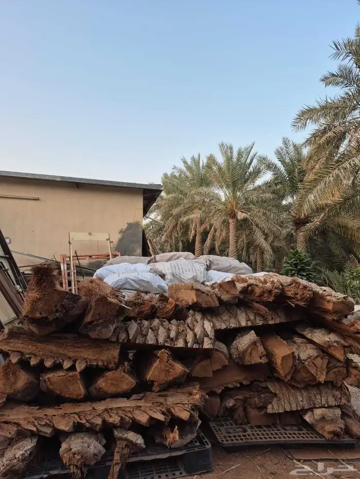 بيع كرب وجذوع للمندي خمس ريال فقط 0