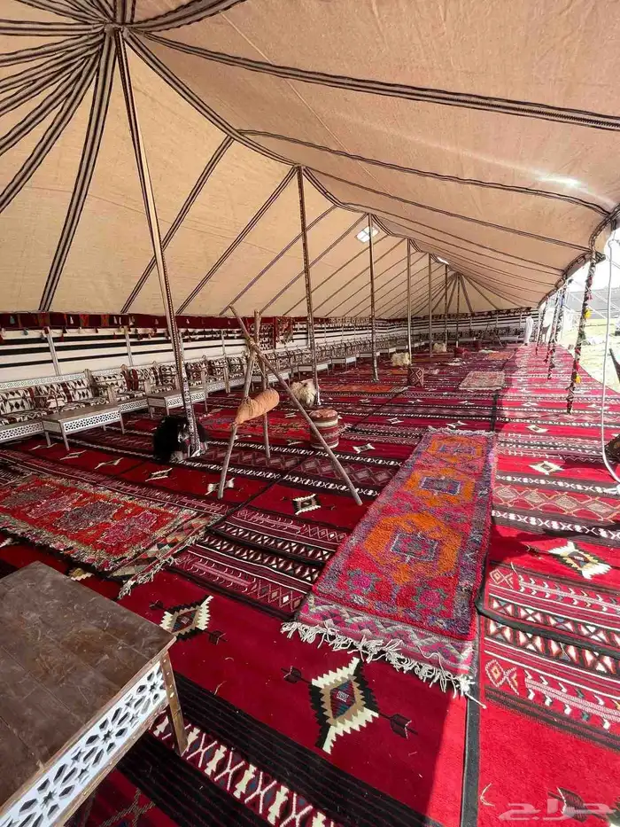 تاجير خيام تاجير خيام اوربيه تاجير خيام شعبية 1