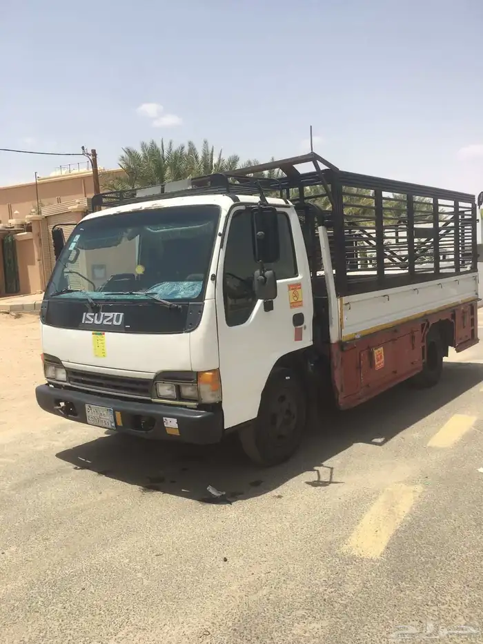 دينا اسيوزا 1